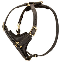 Exclusive Luxury Handcrafted Padded Leather Dog Harness