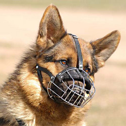 schutzhund dog muzzles, leather dog muzzle, agitation muzzle , wire basket dog muzzles, k dog muzzles, police muzzle