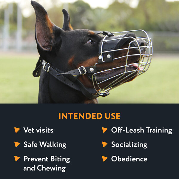 Purposeful Application of Basket Dog Muzzle