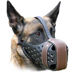 Safety and comfort in one muzzle