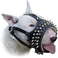 spiked muzzle