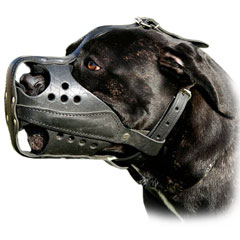 Fit this Leather Muzzle by means of adjustable straps