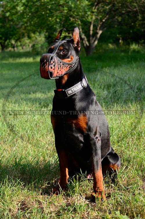Handpainted Doberman Muzzle Made of Leather