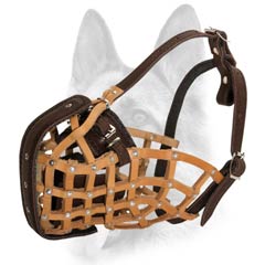 Cool muzzle for your pet