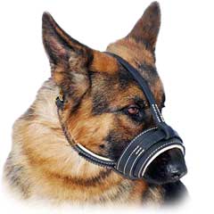 Leather dog muzzle with adjustable straps