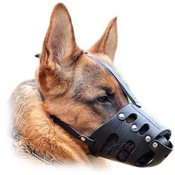 Modern incredibly snug leather dog muzzle