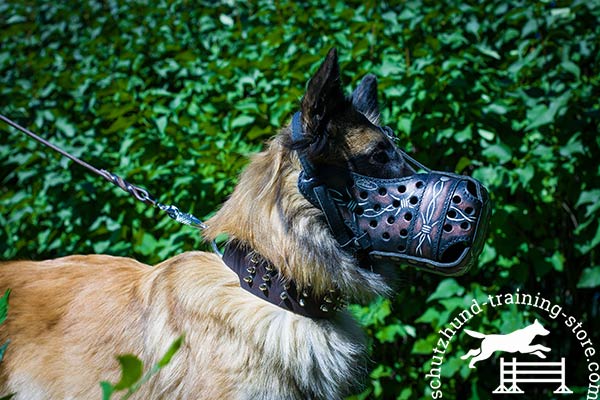Pro leather Tervuren muzzle for attack training