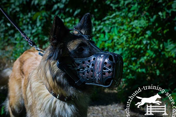 Leather Tervuren muzzle with special holes for ventilation