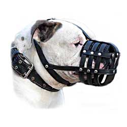 Fashionable well ventilated leather dog muzzle