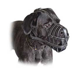 Qualitative leahter mesh muzzle