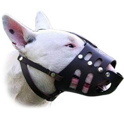 Super air flow in this fine leather muzzle