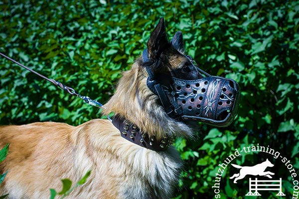 Tervuren leather muzzle with rustless hardware for basic training