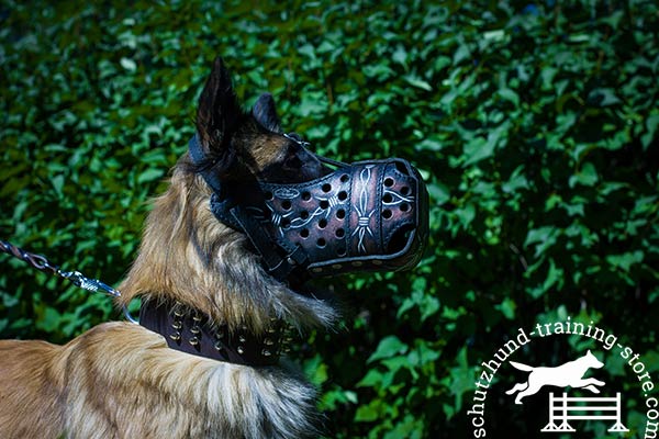 Tervuren leather muzzle of genuine materials with traditional buckle for daily walks