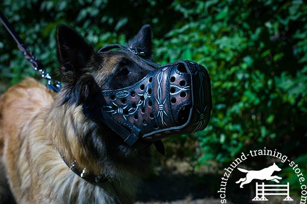 Tervuren leather muzzle with rust-free fittings for quality control