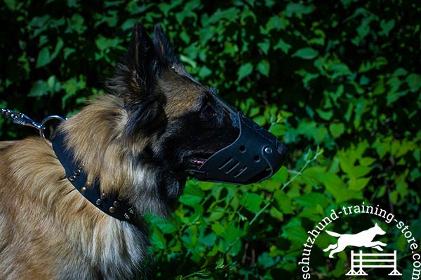 Tervuren leather muzzle with rust-free fittings for any activity