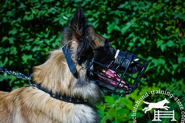 Wire nose padded Tervuren muzzle