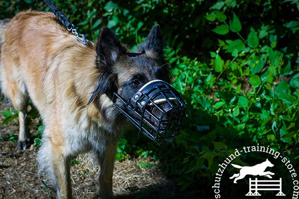 Tervuren wire basket muzzle with rustless hardware for basic training