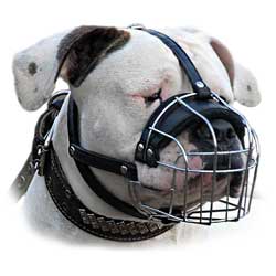 Appropriate wire basket dog muzzle for Schutzhund