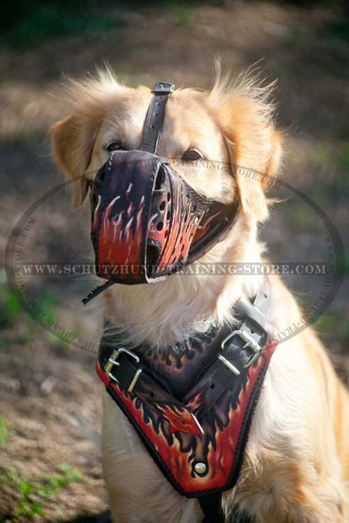 Everyday Leather Dog Muzzle with Good Air Flow for Golden Retriever