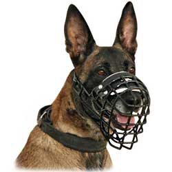 Wonderful wire dog muzzle covered with rubber
