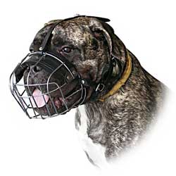 Fine wire cage muzzle for working dogs