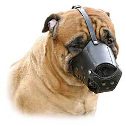 Well-fitting handmade dog muzzle