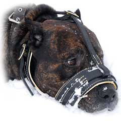 Leather dog muzzle with additional between ears strap  for best fixing