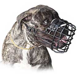 Extremely comfortable winter wire cage muzzle