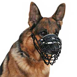 Wire cage winter dog muzzle