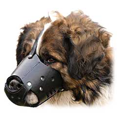 Nice easy adjustable leather dog muzzle