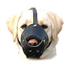 Smooth everyday leather dog muzzle
