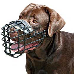 Bitter cold wire basket dog muzzle