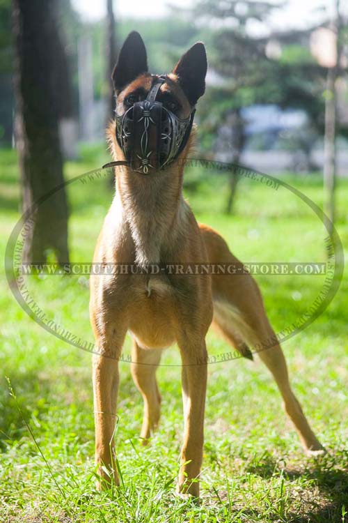 Ventilated Comfortable Dog Muzzle Leather for Belgian Malinois