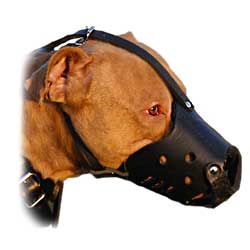 Superior quality muzzle for Schutzhund training