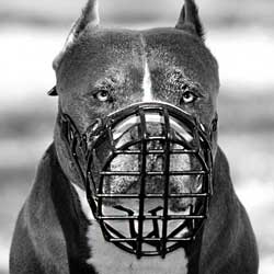 Multipurpose wire cage dog muzzle