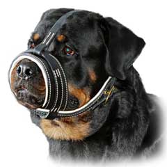 Superb high quality leathern dog muzzle