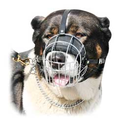 Steel basket handrafted dog muzzle