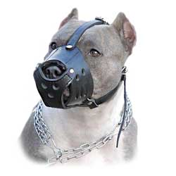 Everyday Schutzhund leather muzzle