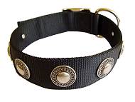 Designer Nylon Dog Collar with Silver Conchos - Extra Strong Training Collar Designer Nylon Dog Collar with Silver Conchos - Extra Strong Training Collar
