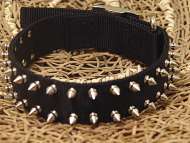 Custom Nylon Spiked Dog Collar-2 Rows of spikes for all breedsl Custom Nylon Spiked Dog Collar-2 Rows of spikes for all breedsl