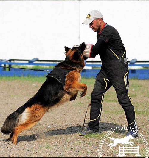 Short dog bite sleeve for training