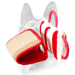 Bite Training Pillow with Cover for Your Dog