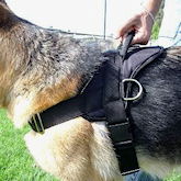 schutzhund dog harnesses, leather padded dog harness, nylon dog harnesses, agitation dog harness, attack dog harness, patrol dog harness, k9 dog harnesses