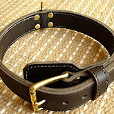 schutzhund leather dog collars, agitaion dog collars,dog training collars, leather collars, nylon dog  collars