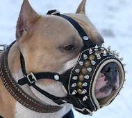 Best padded handmade Royal Spiked Leather Dog Muzzle Best padded handmade Royal Spiked Leather Dog Muzzle
