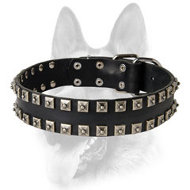 Unique Leather Dog Collar with Nickel-Plated Pyramids Set in 2 Rows Unique Leather Dog Collar with Nickel-Plated Pyramids Set in 2 Rows