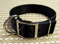 Looking for 2 Ply Nylon collar for Schutzhund Training Looking for 2 Ply Nylon collar for Schutzhund Training