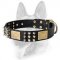 Exclusive Leather Dog Collar with 3 Elements of Decor