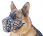 Stylish Hand-Painted Leather Dog Muzzle