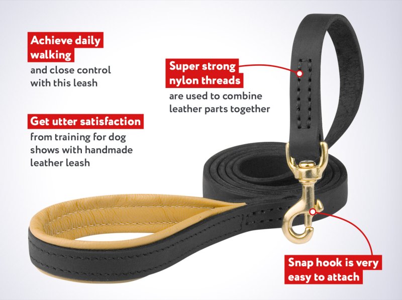 Schutzhund Leather Dog Leash with Comfortable Padded Handle